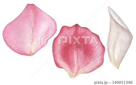 Watercolor collection rose petals on white background. Hand-drawn illustrations for wedding invitations, print, and textiles. Watercolor collection rose petals on white background. Hand-drawn illustrations for wedding invitations, print, and textiles. 140051390