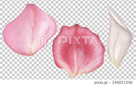 Watercolor collection rose petals on white background. Hand-drawn illustrations for wedding invitations, print, and textiles. Watercolor collection rose petals on white background. Hand-drawn illustrations for wedding invitations, print, and textiles. 140051390