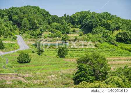 稲渕の棚田 日本の棚田百選 奈良県明日香村 稲渕の棚田 日本の棚田百選 奈良県明日香村 140051619