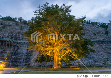 Large illuminated tree glowing at dusk beside rocky cliffs landscaped park creating dramatic outdoor scene natural artificial light Large illuminated tree glowing at dusk beside rocky cliffs landscaped park creating dramatic outdoor scene natural artificial light 140051642