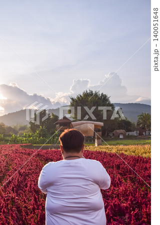 Back view of person enjoying vibrant red celosia flower field during sunset rural countryside cottages mountains dramatic clouds natural light 140051648