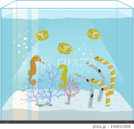 キューブ型の海水魚水槽 キューブ型の海水魚水槽 140052006