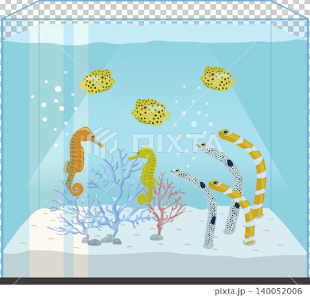 キューブ型の海水魚水槽 キューブ型の海水魚水槽 140052006