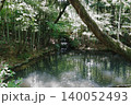 神秘的な水面と小滝 140052493