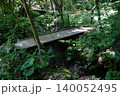 木漏れ日の中の小川と板橋 140052495