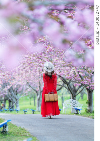 羅生門さくら公園(桜のトンネル)52132 羅生門さくら公園(桜のトンネル)52132 140052747