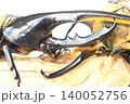 ヘラクレスオオカブトVSエレファスゾウカブトの樹木の上での戦い　白背景 140052756
