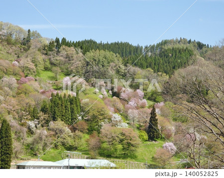 山桜の咲く二本で最も美しい村連合の小川村二反田 山桜の咲く二本で最も美しい村連合の小川村二反田 140052825