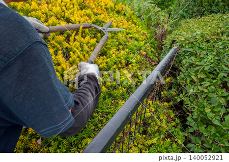 Japanese Gardener 140052921