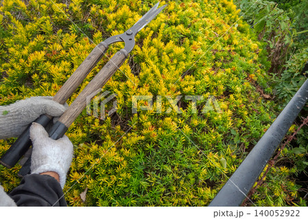Japanese Gardener Japanese Gardener 140052922