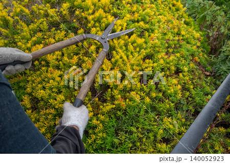 Japanese Gardener 140052923