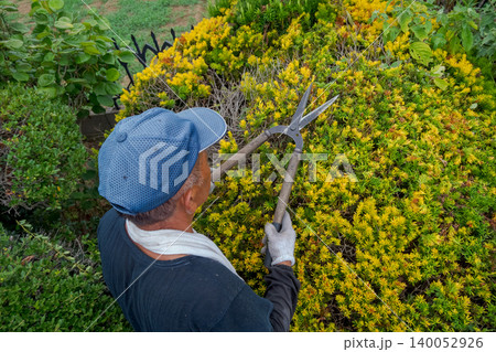 Japanese Gardener 140052926