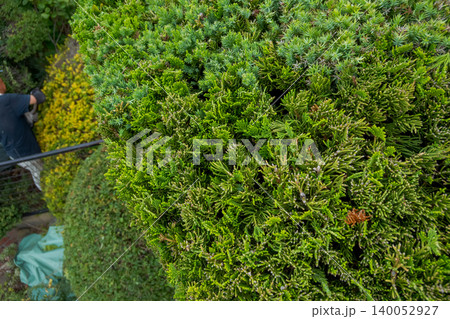 Japanese Gardener 140052927