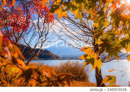 The beautiful autumn foliage frames Lake Kawaguchi and Mount Fuji in the background, bathed in soft sunlight, in Yamanashi Prefecture, Japan. The beautiful autumn foliage frames Lake Kawaguchi and Mount Fuji in the background, bathed in soft sunlight, in Yamanashi Prefecture, Japan. 140053026