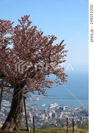 春の北海道、春の小樽、風薫る五月の北海道小樽、港町小樽を天狗山展望台から眺める、北海道三大夜景の小樽 春の北海道、春の小樽、風薫る五月の北海道小樽、港町小樽を天狗山展望台から眺める、北海道三大夜景の小樽 140053200