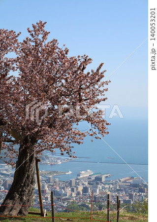 春の北海道、春の小樽、風薫る五月の北海道小樽、港町小樽を天狗山展望台から眺める、北海道三大夜景の小樽 140053201