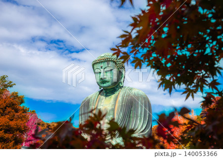 Daibutsu or Great Buddha of Kamakura in Kotokuin Temple at Kanagawa Prefecture Japan with leaves changing color It is an important landmark and a popular destination for tourists and pilgrims. 140053366