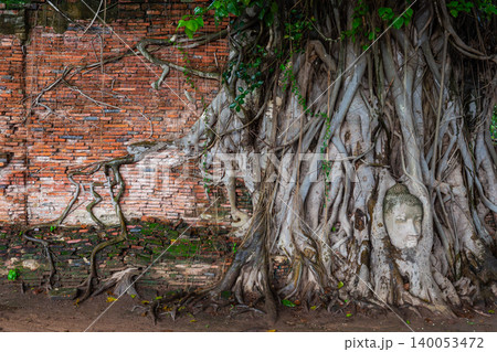 An ancient Buddha head embedded in tree roots on a brick and wooden wall at Wat Phra Mahathat, Ayutthaya Historical Park, Thailand, is an authentic and popular tourist destination. An ancient Buddha head embedded in tree roots on a brick and wooden wall at Wat Phra Mahathat, Ayutthaya Historical Park, Thailand, is an authentic and popular tourist destination. 140053472