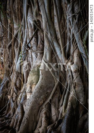 The ancient Buddha head embedded in tree roots at Wat Phra Mahathat, Ayutthaya Historical Park, Thailand, is an original and popular tourist attraction. The ancient Buddha head embedded in tree roots at Wat Phra Mahathat, Ayutthaya Historical Park, Thailand, is an original and popular tourist attraction. 140053473