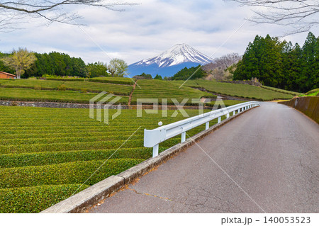 Road passes through Tea plantation with Mount Fuji in the background is a famous landmark of Shizuoka City, Japan on a rainy and cloudy day. Road passes through Tea plantation with Mount Fuji in the background is a famous landmark of Shizuoka City, Japan on a rainy and cloudy day. 140053523