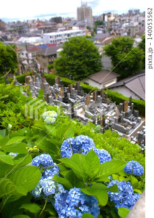 養源寺 140053562