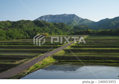 鳥取県の春の伯耆大山南壁と御机みつめの棚田 140053955