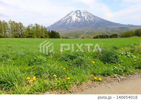 五月の北海道、ニセコ、倶知安、蝦夷富士、羊蹄山、ようてい、残雪残る羊蹄山、青空に映える北海道の雄 140054018