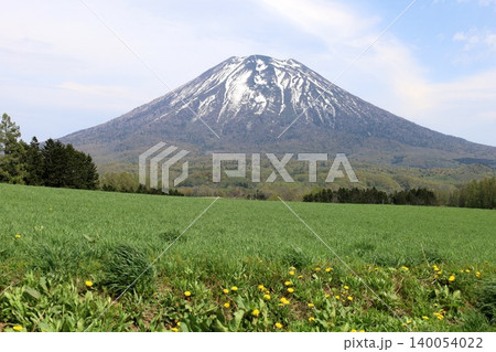 五月の北海道、ニセコ、倶知安、蝦夷富士、羊蹄山、ようてい、残雪残る羊蹄山、青空に映える北海道の雄 140054022
