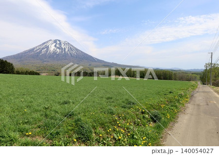 五月の北海道、ニセコ、倶知安、蝦夷富士、羊蹄山、ようてい、残雪残る羊蹄山、青空に映える北海道の雄 140054027