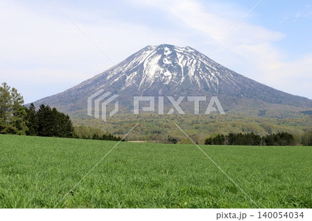 五月の北海道、ニセコ、倶知安、蝦夷富士、羊蹄山、ようてい、残雪残る羊蹄山、青空に映える北海道の雄 140054034