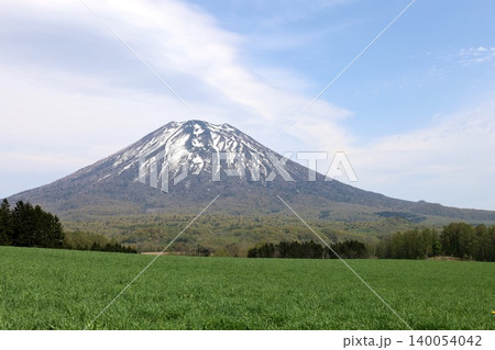 五月の北海道、ニセコ、倶知安、蝦夷富士、羊蹄山、ようてい、残雪残る羊蹄山、青空に映える北海道の雄 五月の北海道、ニセコ、倶知安、蝦夷富士、羊蹄山、ようてい、残雪残る羊蹄山、青空に映える北海道の雄 140054042