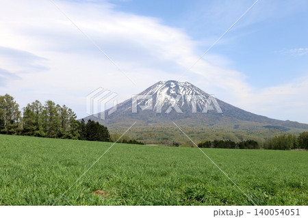 五月の北海道、ニセコ、倶知安、蝦夷富士、羊蹄山、ようてい、残雪残る羊蹄山、青空に映える北海道の雄 140054051