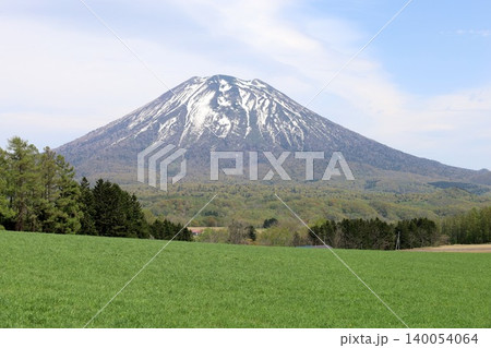 五月の北海道、ニセコ、倶知安、蝦夷富士、羊蹄山、ようてい、残雪残る羊蹄山、青空に映える北海道の雄 五月の北海道、ニセコ、倶知安、蝦夷富士、羊蹄山、ようてい、残雪残る羊蹄山、青空に映える北海道の雄 140054064