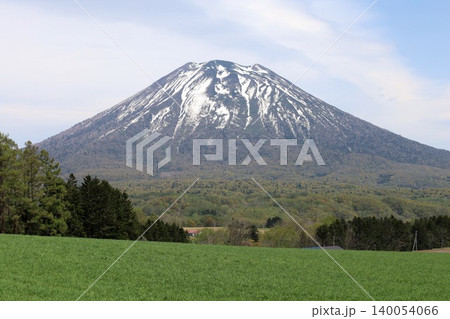 五月の北海道、ニセコ、倶知安、蝦夷富士、羊蹄山、ようてい、残雪残る羊蹄山、青空に映える北海道の雄 五月の北海道、ニセコ、倶知安、蝦夷富士、羊蹄山、ようてい、残雪残る羊蹄山、青空に映える北海道の雄 140054066