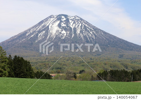 五月の北海道、ニセコ、倶知安、蝦夷富士、羊蹄山、ようてい、残雪残る羊蹄山、青空に映える北海道の雄 140054067
