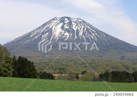 五月の北海道、ニセコ、倶知安、蝦夷富士、羊蹄山、ようてい、残雪残る羊蹄山、青空に映える北海道の雄 140054068