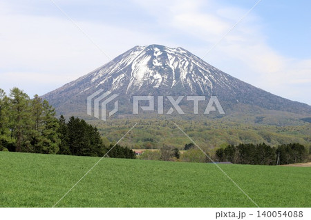 五月の北海道、ニセコ、倶知安、蝦夷富士、羊蹄山、ようてい、残雪残る羊蹄山、青空に映える北海道の雄 140054088