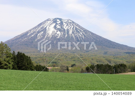五月の北海道、ニセコ、倶知安、蝦夷富士、羊蹄山、ようてい、残雪残る羊蹄山、青空に映える北海道の雄 140054089
