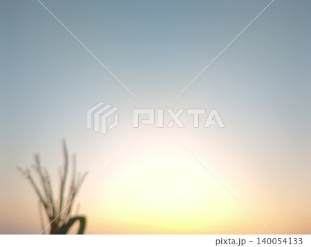 Silhouette of small branches stands against a smooth soft gradient sky backdrop. A bright yellow sunrise glow transitions into clean light blue tones, offering a clean nature background layout. 140054133
