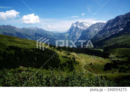 スイスのグリンデルワルト渓谷と雪山、緑の草原と村、8月の真夏のスイスパノラマ絶景 スイスのグリンデルワルト渓谷と雪山、緑の草原と村、8月の真夏のスイスパノラマ絶景 140054273