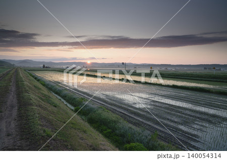 北海道の田植え後の水鏡水田と夕陽、整然と並ぶ稲苗の列、初夏6月の絶景田園風景 北海道の田植え後の水鏡水田と夕陽、整然と並ぶ稲苗の列、初夏6月の絶景田園風景 140054314