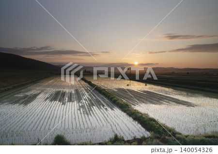 北海道の水鏡水田と夕陽、稲苗が描くリードラインと地平線の山並み、6月の上富良野田園夕景 北海道の水鏡水田と夕陽、稲苗が描くリードラインと地平線の山並み、6月の上富良野田園夕景 140054326