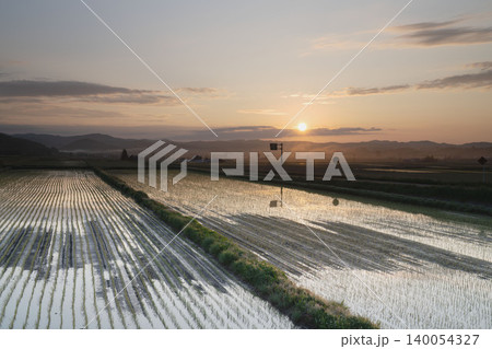 北海道の水鏡水田に映る夕陽と雲流れる空、稲苗の列、6月の上富良野の絶景田園夕景 140054327