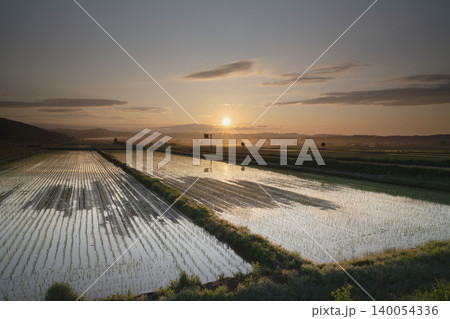 北海道の水鏡水田と地平線に浮かぶ夕陽、雲のレイヤー、6月の上富良野の絶景田園夕景パノラマ 北海道の水鏡水田と地平線に浮かぶ夕陽、雲のレイヤー、6月の上富良野の絶景田園夕景パノラマ 140054336