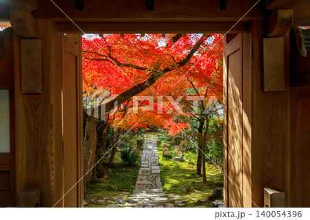 Gate to red fall maple leaf tree tunnel path of Ryoan-ji temple, Kyoto 140054396