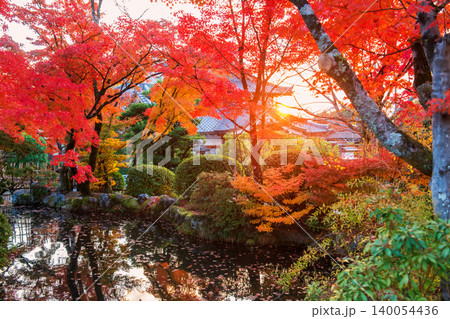 Kiyomizu dera garden with colorful maple leaf at sunset, Kyoto Kiyomizu dera garden with colorful maple leaf at sunset, Kyoto 140054436