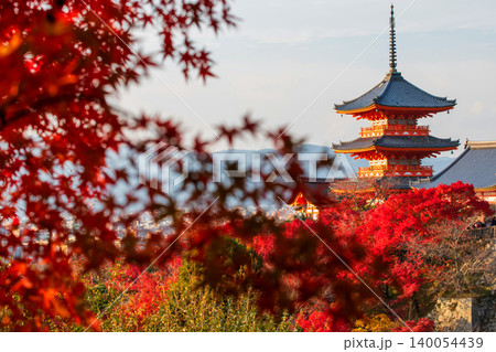 Iconic Kiyomizu-dera pagoda with red maple autumn leaf, Kyoto 140054439