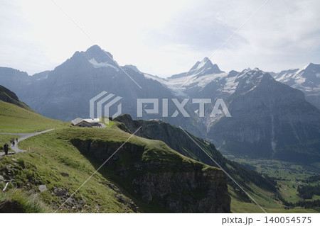 スイスのグリンデルワルトフィルスト山小屋とヴェッターホルン、緑の高原、8月の真夏のスイス絶景 140054575