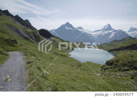 スイスのグリンデルワルトフィルストのバッハアルプ湖と雪山、8月の真夏のスイス絶景 スイスのグリンデルワルトフィルストのバッハアルプ湖と雪山、8月の真夏のスイス絶景 140054577