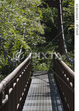 北海道の森の中の吊り橋と緑の樹林、9月の初秋のトレッキング風景、縦構図ハイキング絶景 140054610